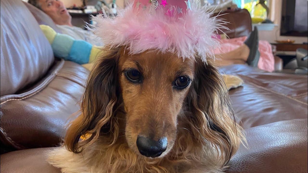 Our little Valentine celebrated her 6th birthday!! 