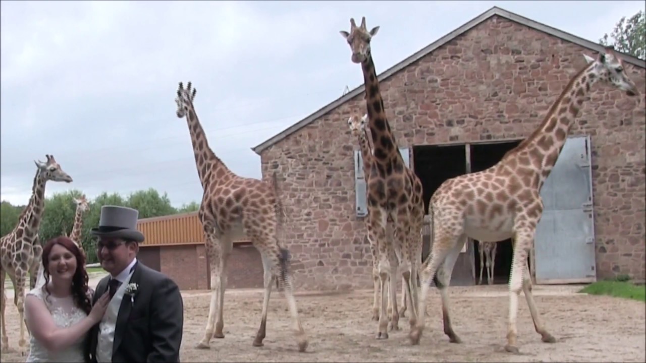 Chester Zoo Wedding Highlights Chris & Vicky Williams