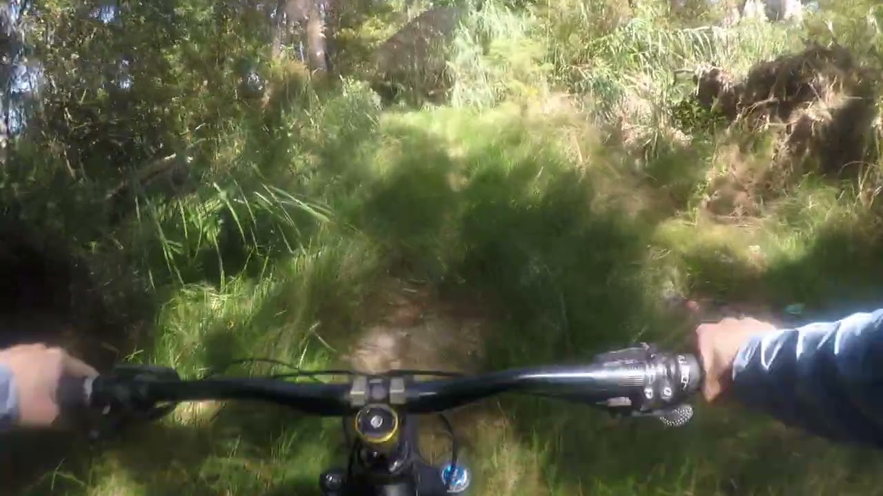 GBP BIKE PARK. THE SHORT DH TRAIL. COME ON DOWN.FUN