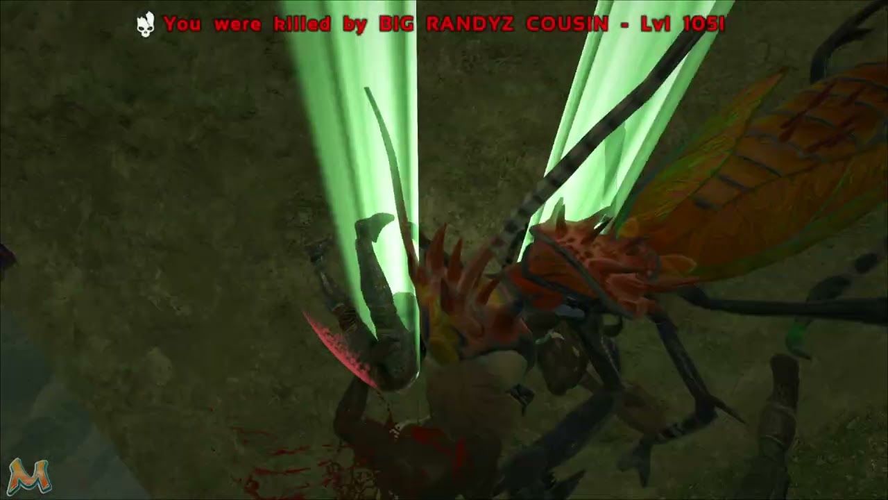 2026 01 14 17 55 29