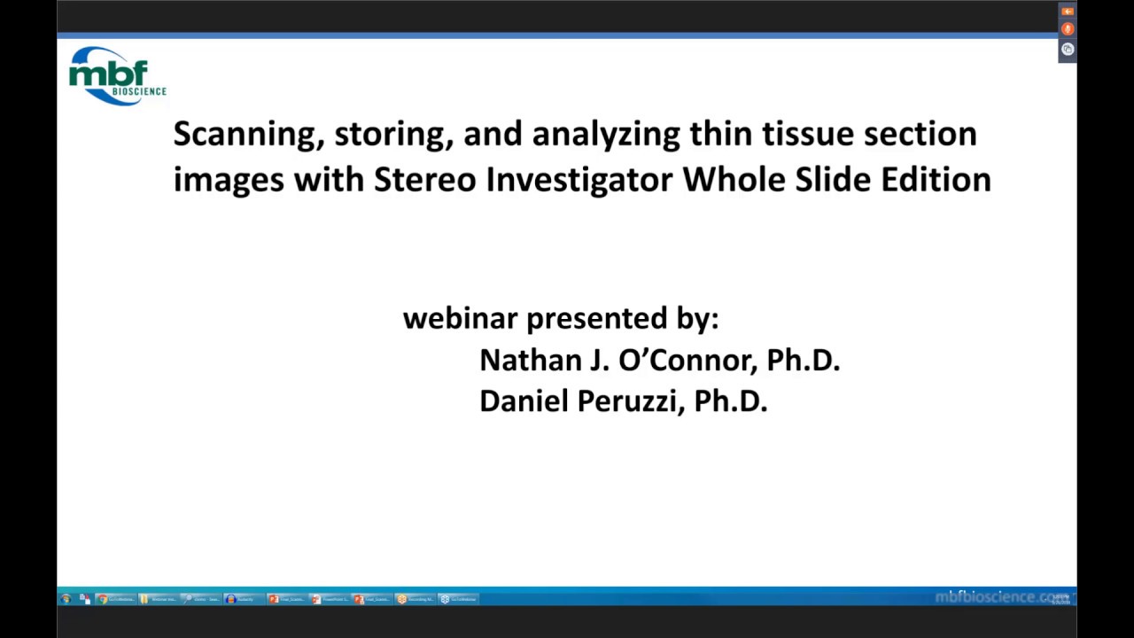 Webinar: Thin tissue section images with Stereo Investigator - Whole Slide Edition