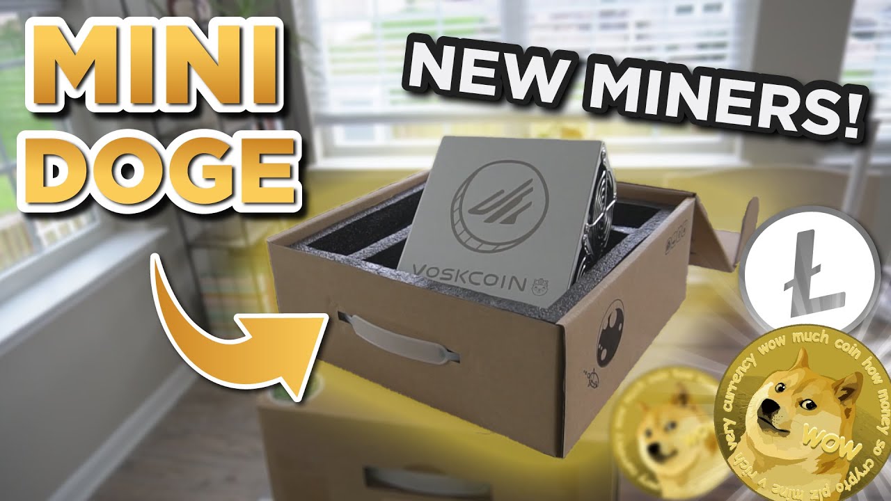 НОВЫЕ МАЙНЕРЫ ДЛЯ DOGE! Обзор VoskCoin Mini-Doge Miner