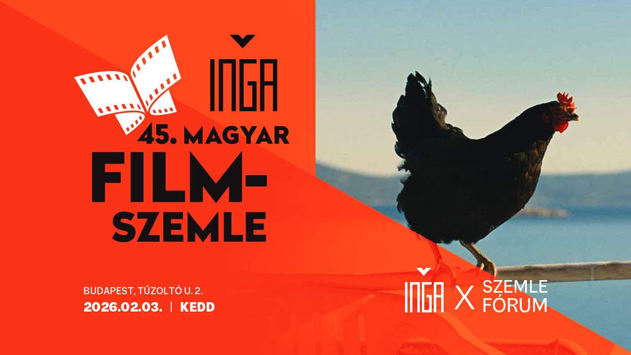 Filmes Felsőoktatás Magyarországon