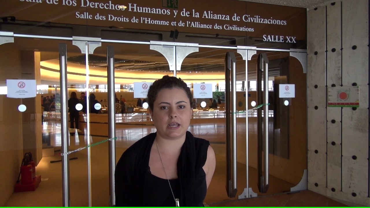 Interview with Julia Fernandes. Movement of People Affected by dams, Brazil, at the IGWG