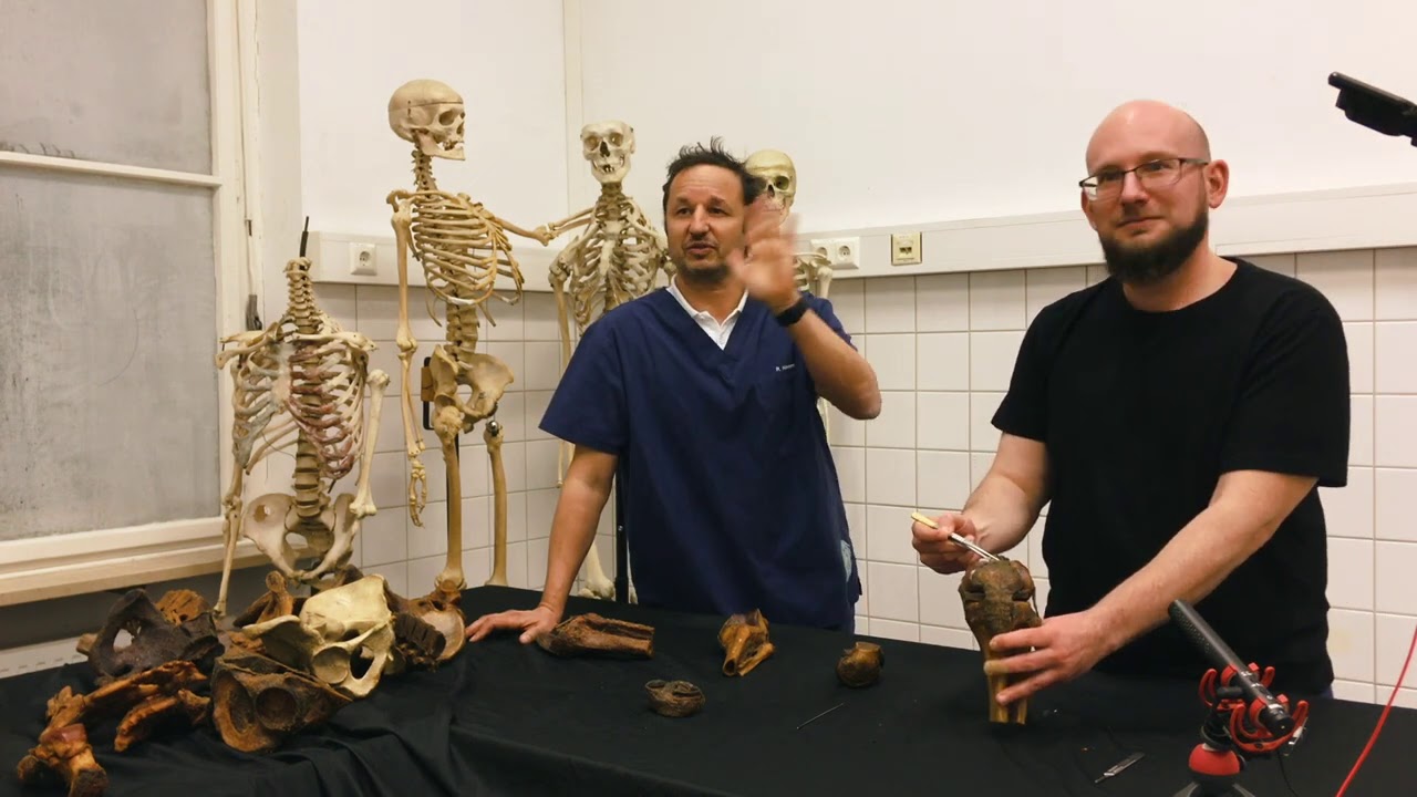 Das Tiroler Gelenk - Anatomie Kniegelenk (Art. genus) kurz und knackig!