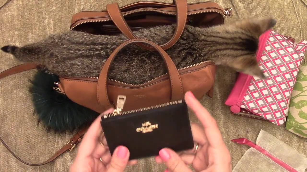 Whats in my bag? Fossil Sydney Satchel and new kitten Chloe