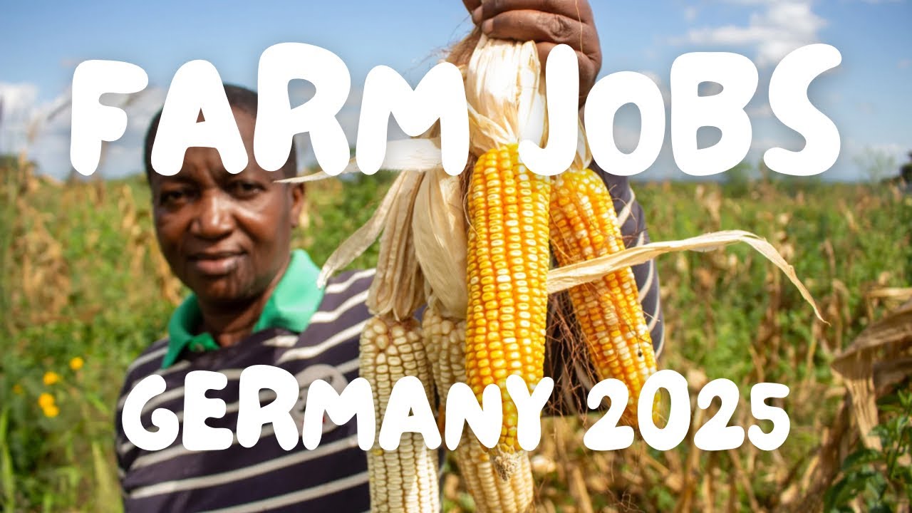 Farm Work in Germany 2024: How to Find Jobs & Get a Work Visa