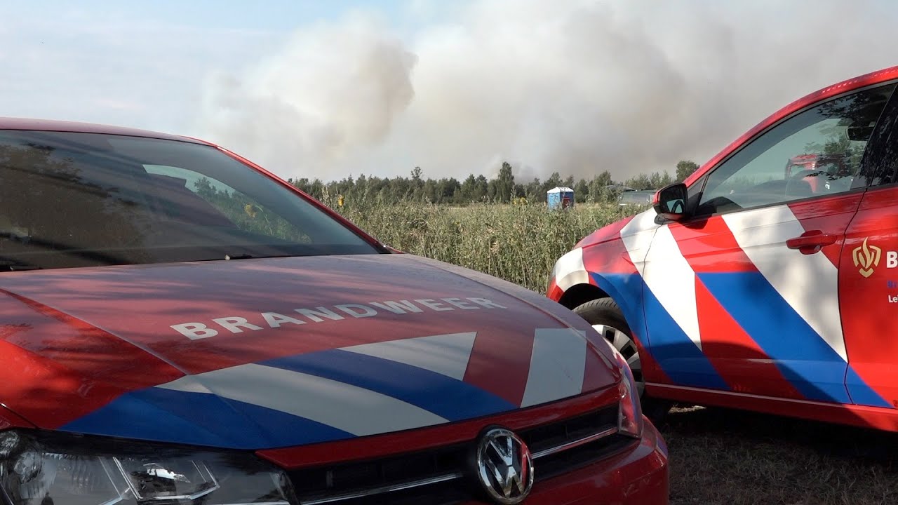 Grote Peelbrand in Griendtsveen