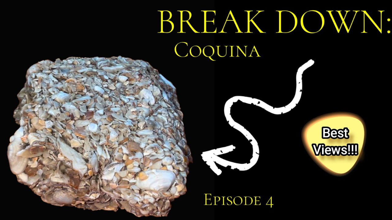 🔍Break Down: Coquina From Florida Episode 4 #coquina #fossils #teamrockit