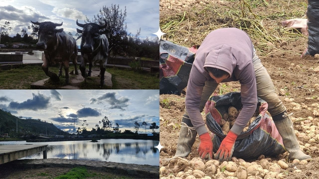 Viajes en MOTO por el PERÚ - Distritos Molino, Panao, Chaglla  Huánuco