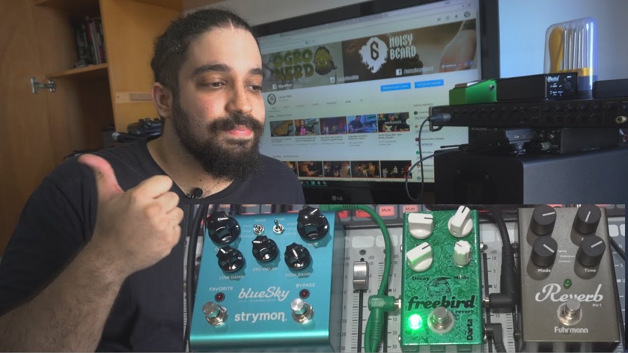 Strymon Blue Sky / Darta FreeBird / Fuhrmann Reverb