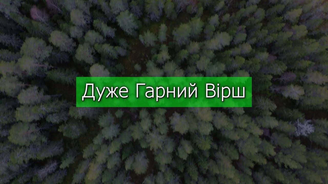 Християнський Вірш | Я не чекала... Авторський вірш / Християнські Вірші | Вікторія Конончук