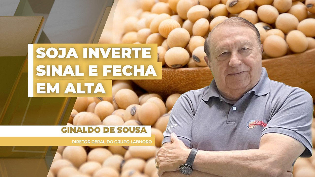 Soja fecha em alta na Bolsa de Chicago nesta 3ª feira; preços no Brasil permanecem estáveis