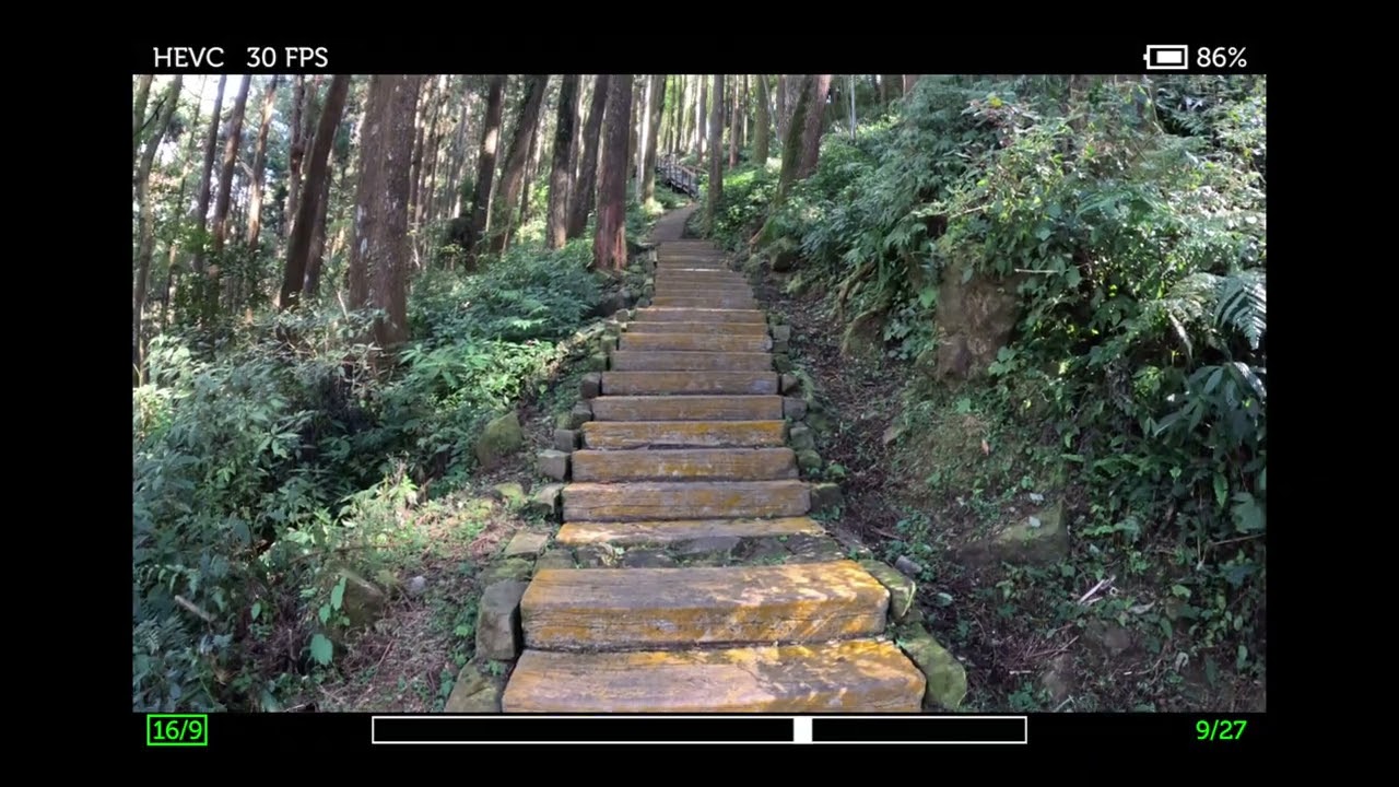 嘉義步道一日遊、雲之道南口起登—茶之道—霞之道～產業道路回