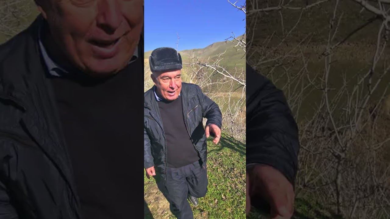 пистазори акаи Абдусаид