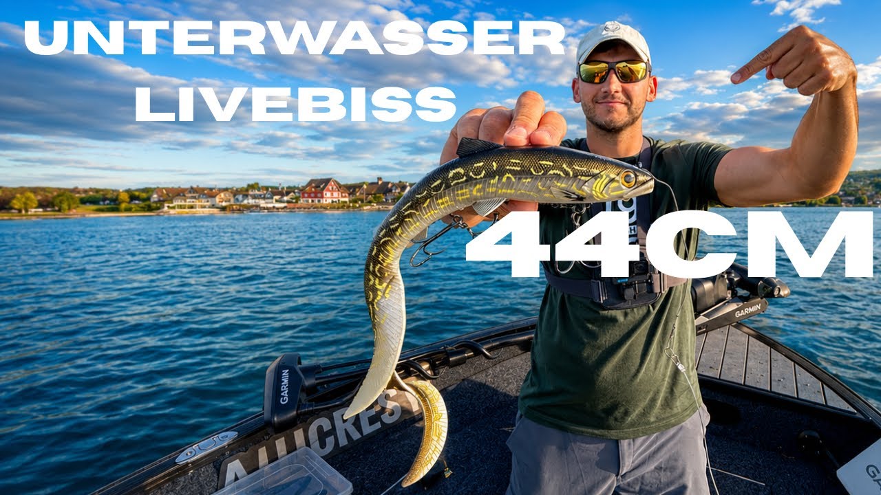 „UNTERWASSER LIVEBISS! 44-cm BIGBAIT im 251m tiefen See – und dann dieser Biss…!