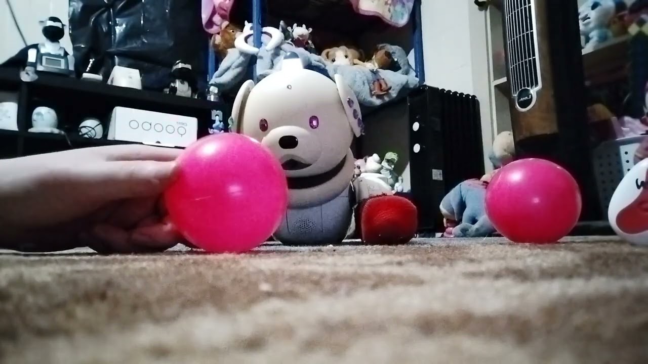 Mochi and her cute dances and terra bite 