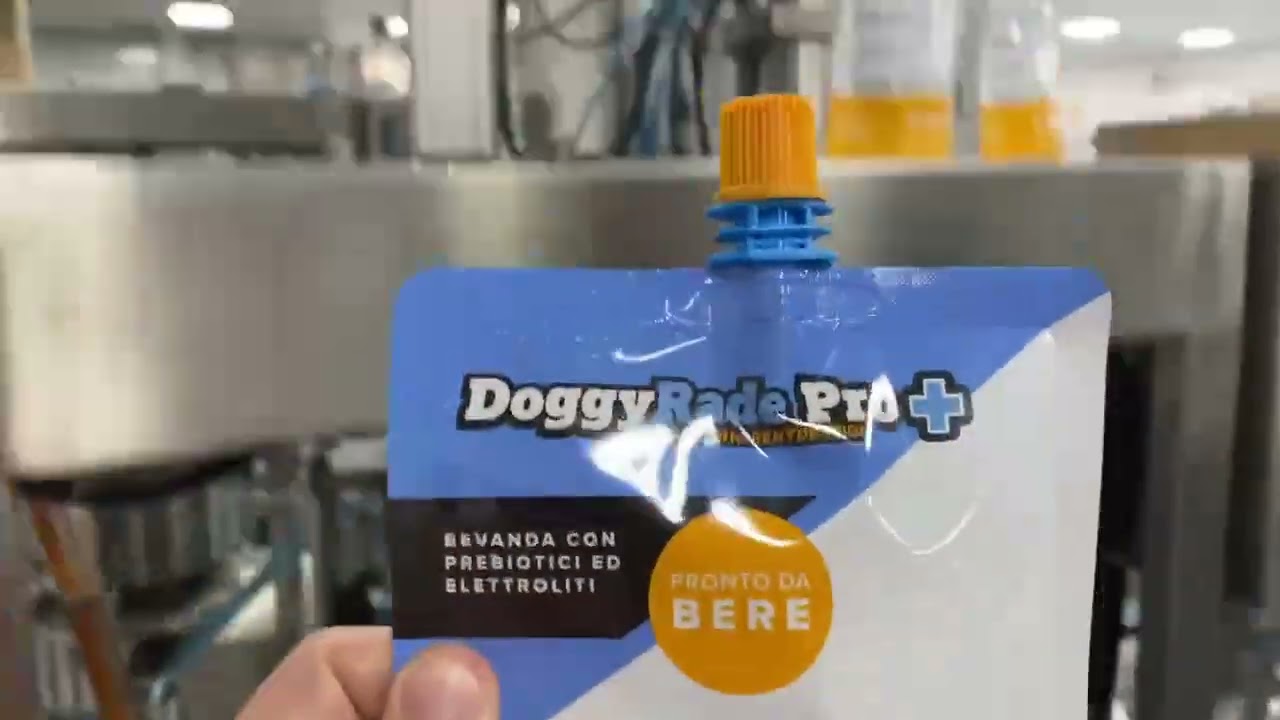 rotary spout pouch filling and capping machine with 2 nozzles #packingmachine #auto