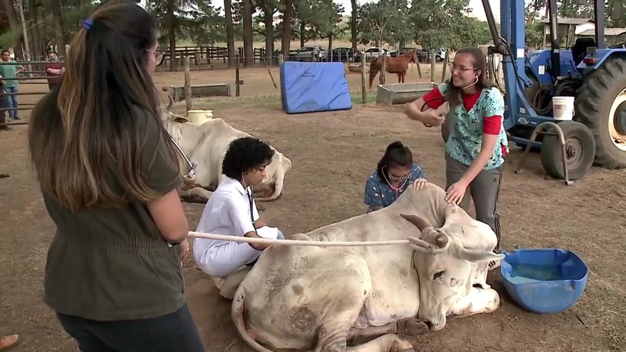 Conheça o trabalho do Hospital Veterinário da Unesp em Araçatuba (notícia de 25/10/2018)