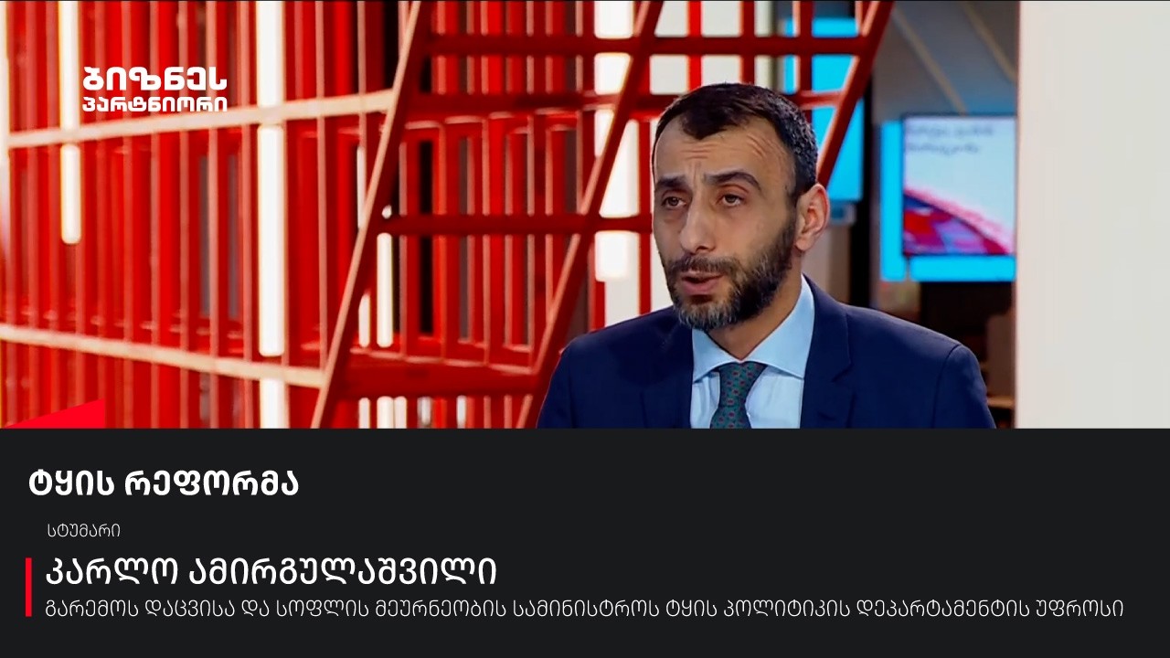 ტყის რეფორმა
