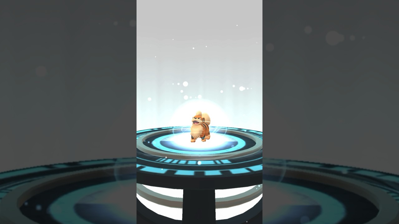 growlithe evolution Pok&eacute;mon go #shorts