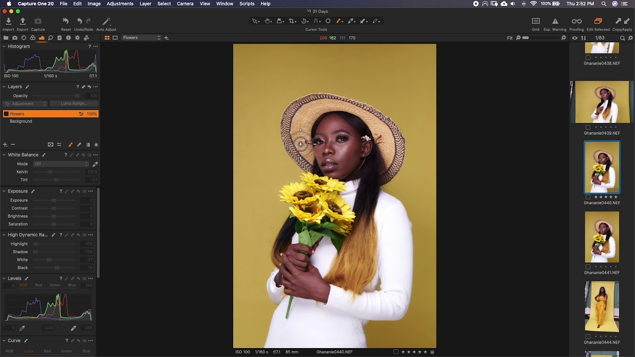 Capture One 20: How to Use Layers, Mask and the Brush Tool