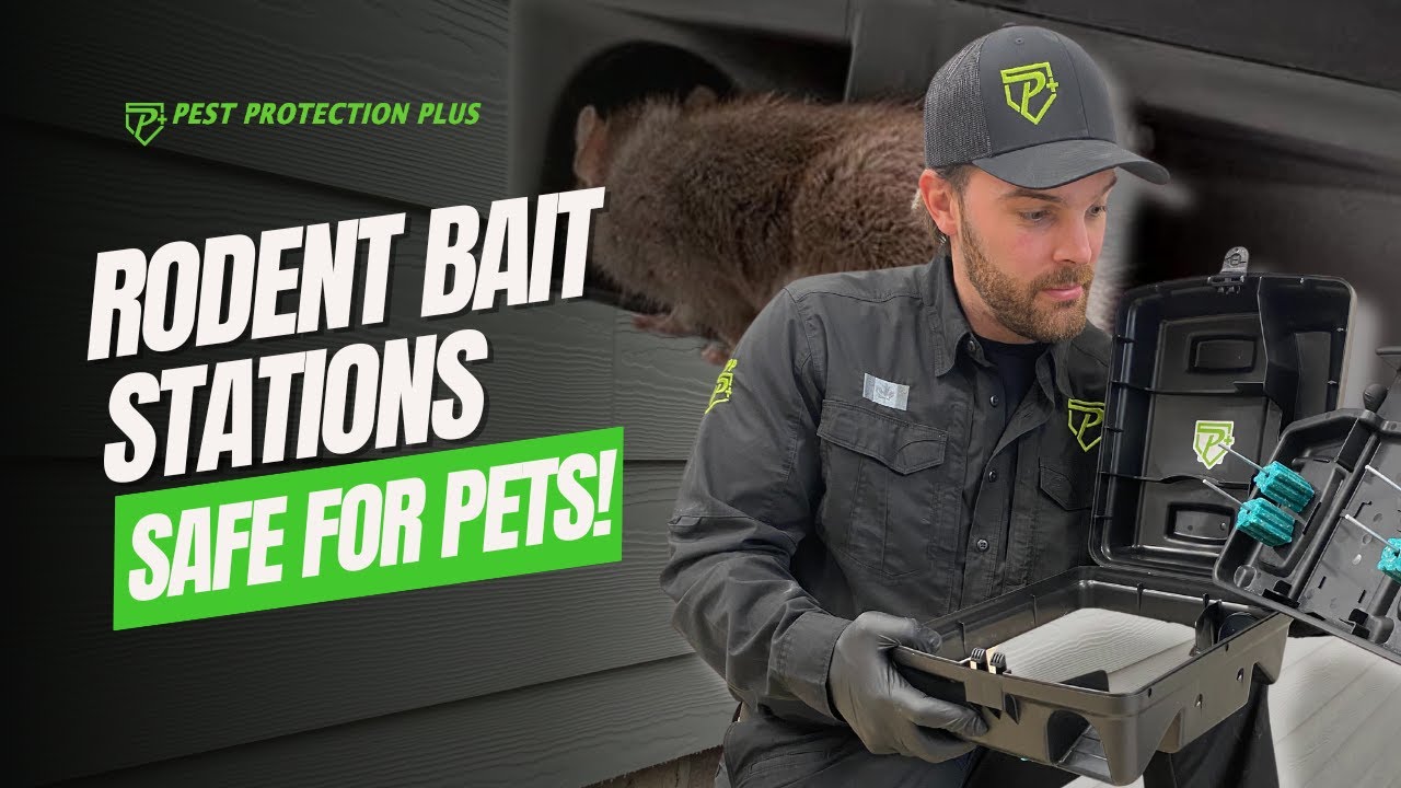 Rodent Bait Stations are Safe!