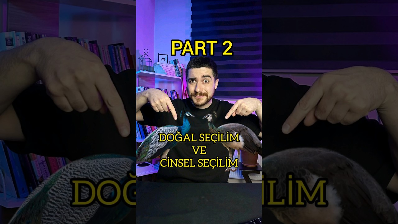 DOĞAL SE&Ccedil;İLİM VE CİNSEL SE&Ccedil;İLİM 2 #isaret #isaretdili #işaretdili