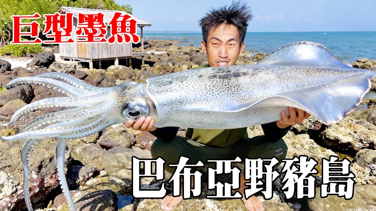 巴布亞野豬島生存挑戰（下）！改良陷阱野豬扎堆了，同伴出海夜釣抓到極品大墨魚吃！【探索兄弟】