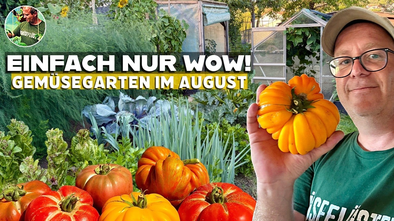 Jetzt zeigt der Gem&uuml;segarten, was in ihm steckt! | August-Update 
