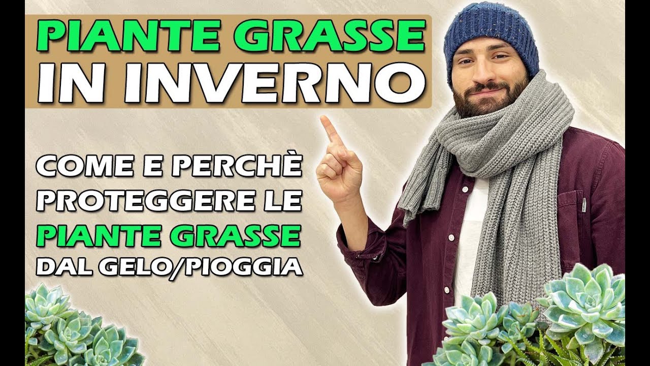 COME e PERCHÉ  proteggere le PIANTE GRASSE IN INVERNO