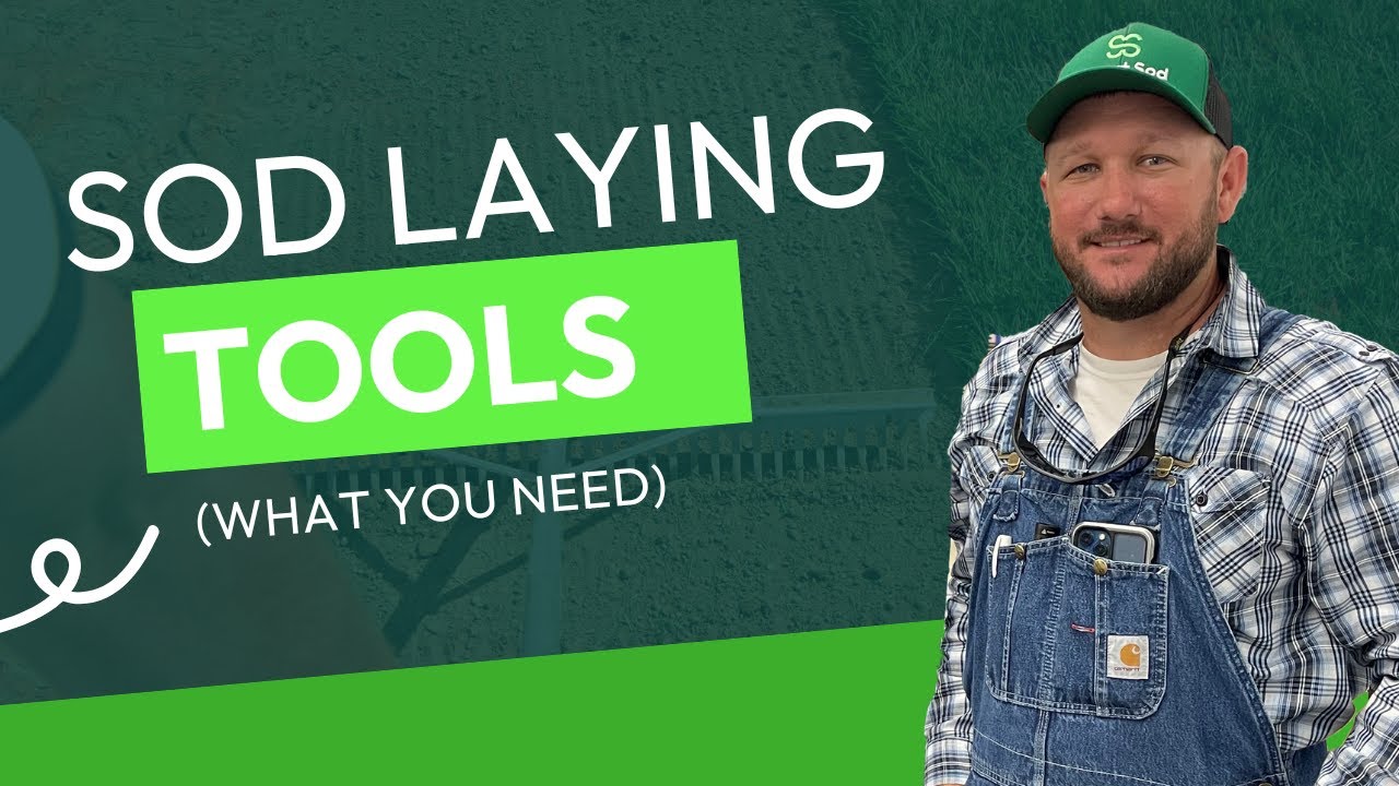 What tools to I need before laying new sod