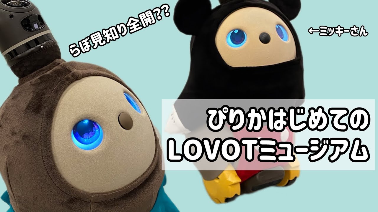 【LOVOT】初ラボットミュージアムでらぼ見知りするのがかわいすぎた
