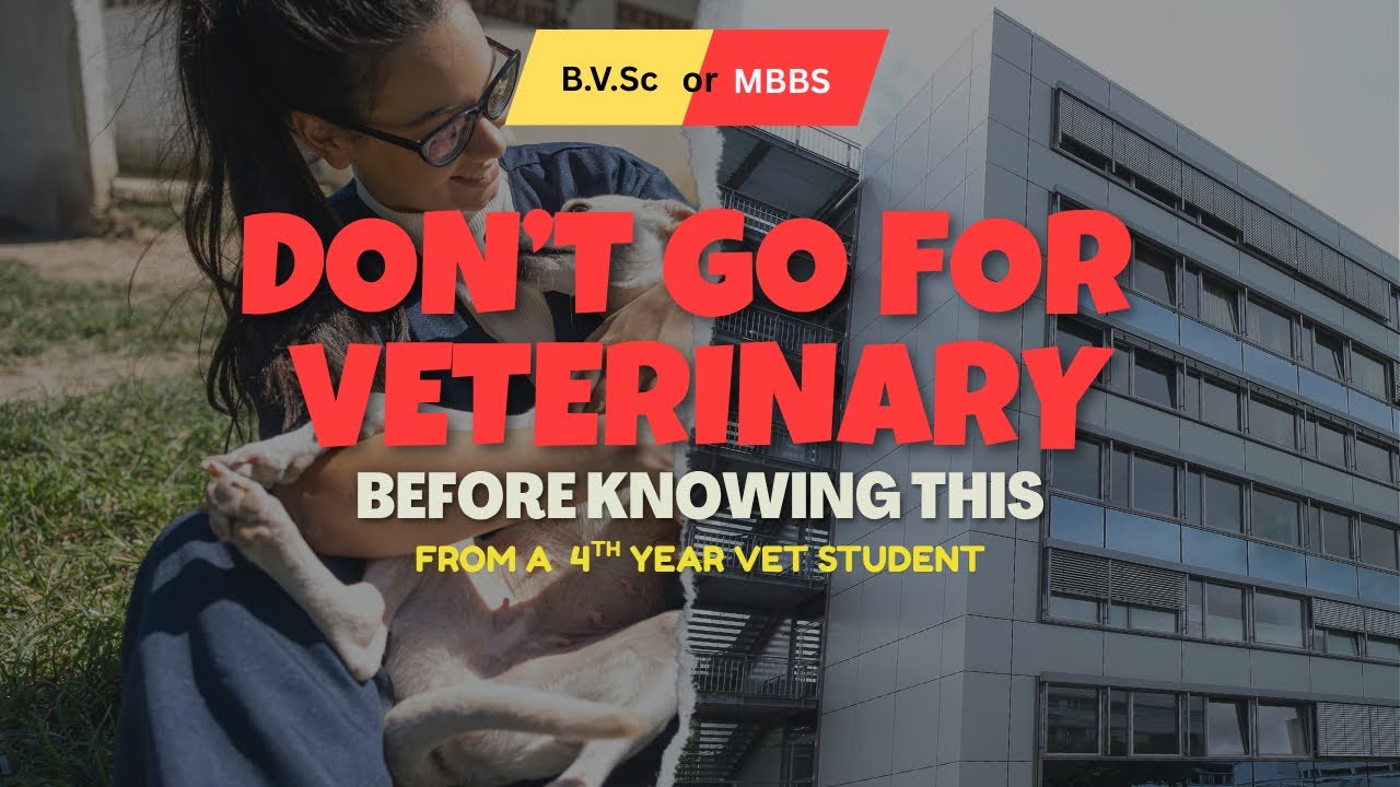 Before You Pick MBBS or Vet… Watch This First!!🩺🚨#veterinary  #mbbs #new #career #fyp 