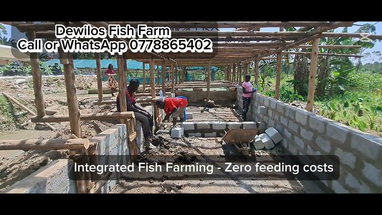 Integrated Fish Farming  - Part 1