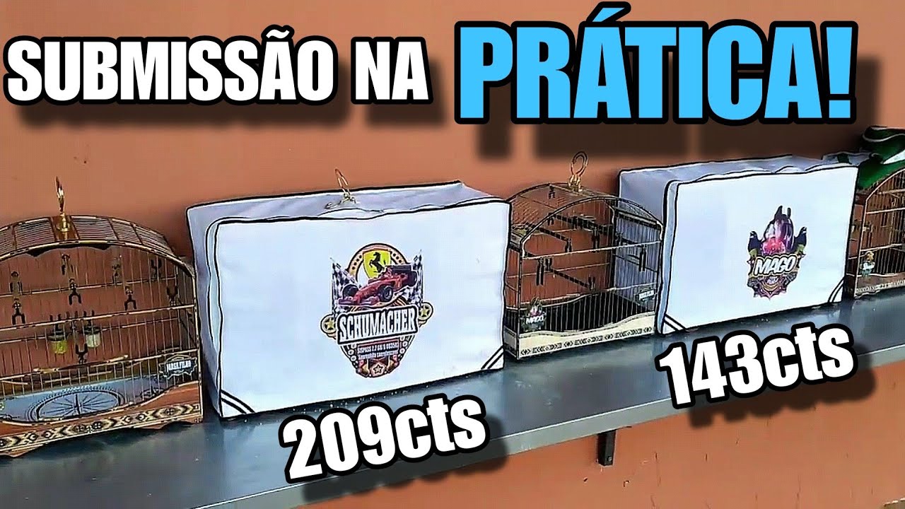 detalhes da SUBMISSÃO de dois coleiros FENÔMENOS!