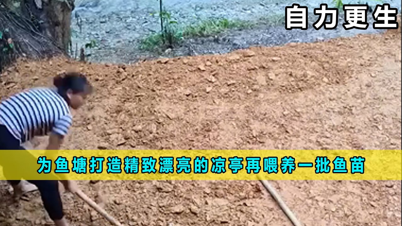 为鱼塘打造精致漂亮的凉亭再喂养一批鱼苗《自力更生》03