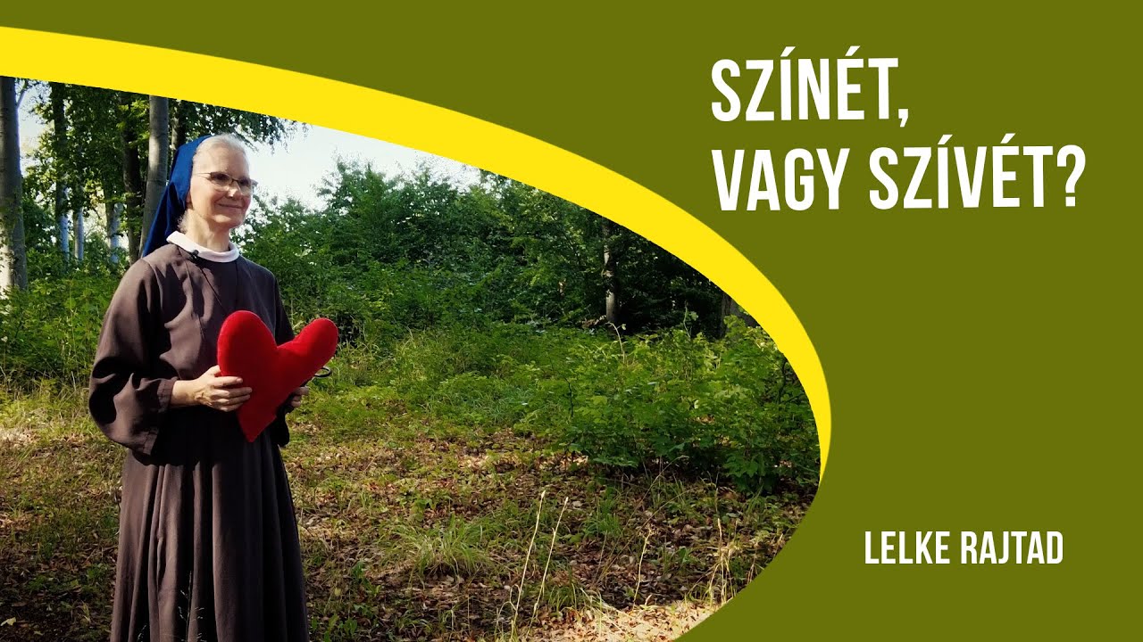 Lelke Rajtad - Színét vagy szívét?