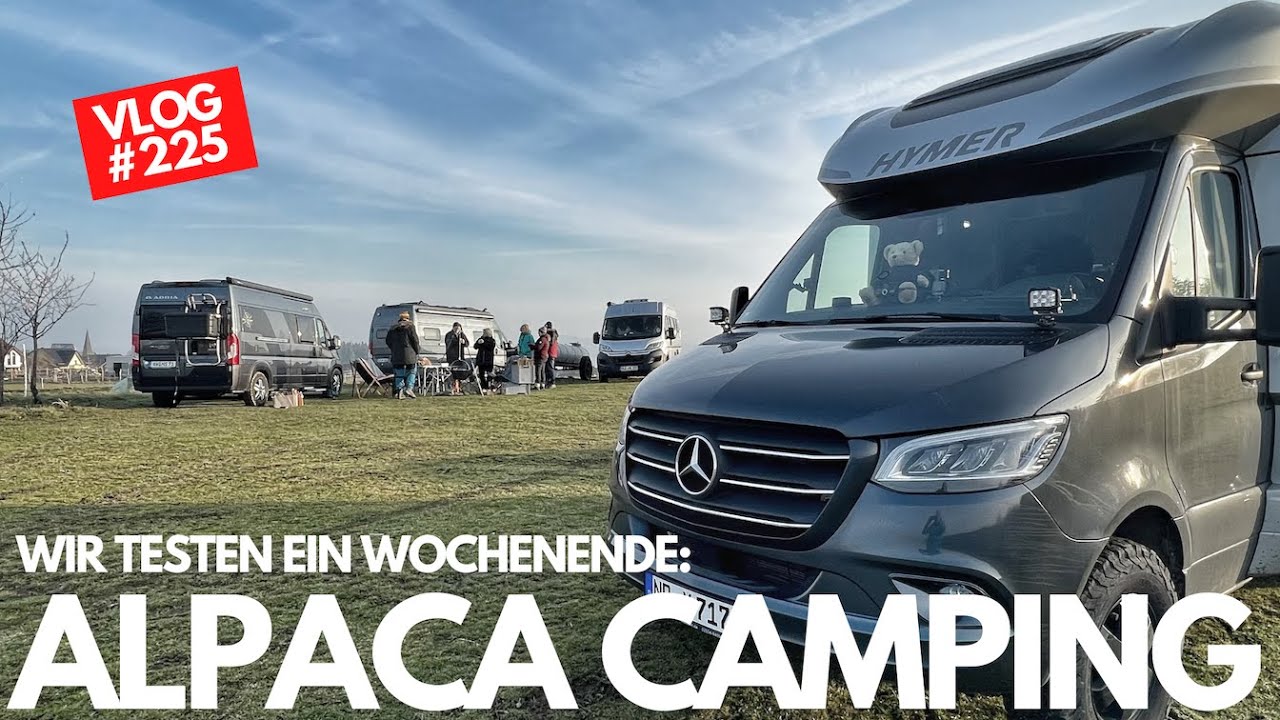 #225 - Wir testen Alpaca Camping - Bauernhof Camping - Hobbit Höhle - Nachtsheim/Eifel