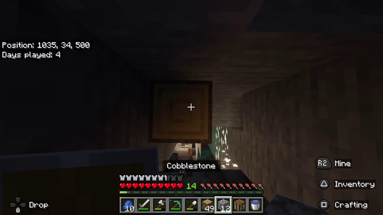 Minecraft smp