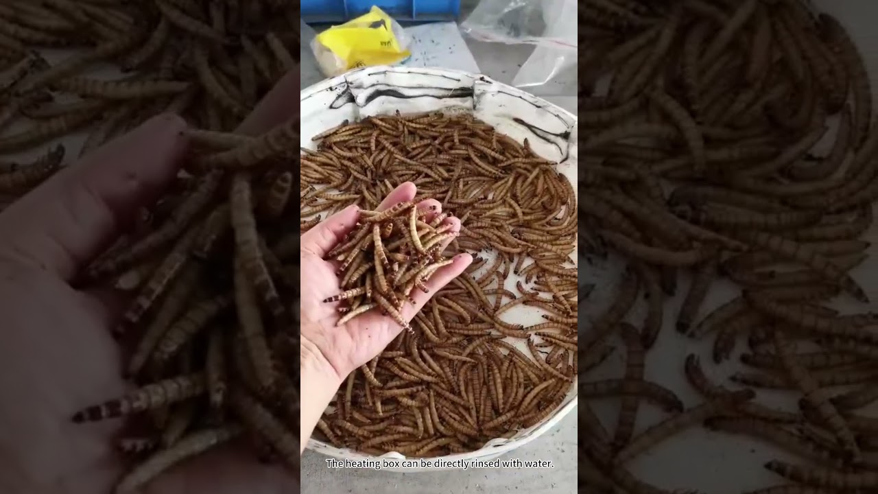 Meat products, microwave dryer, microwave oven