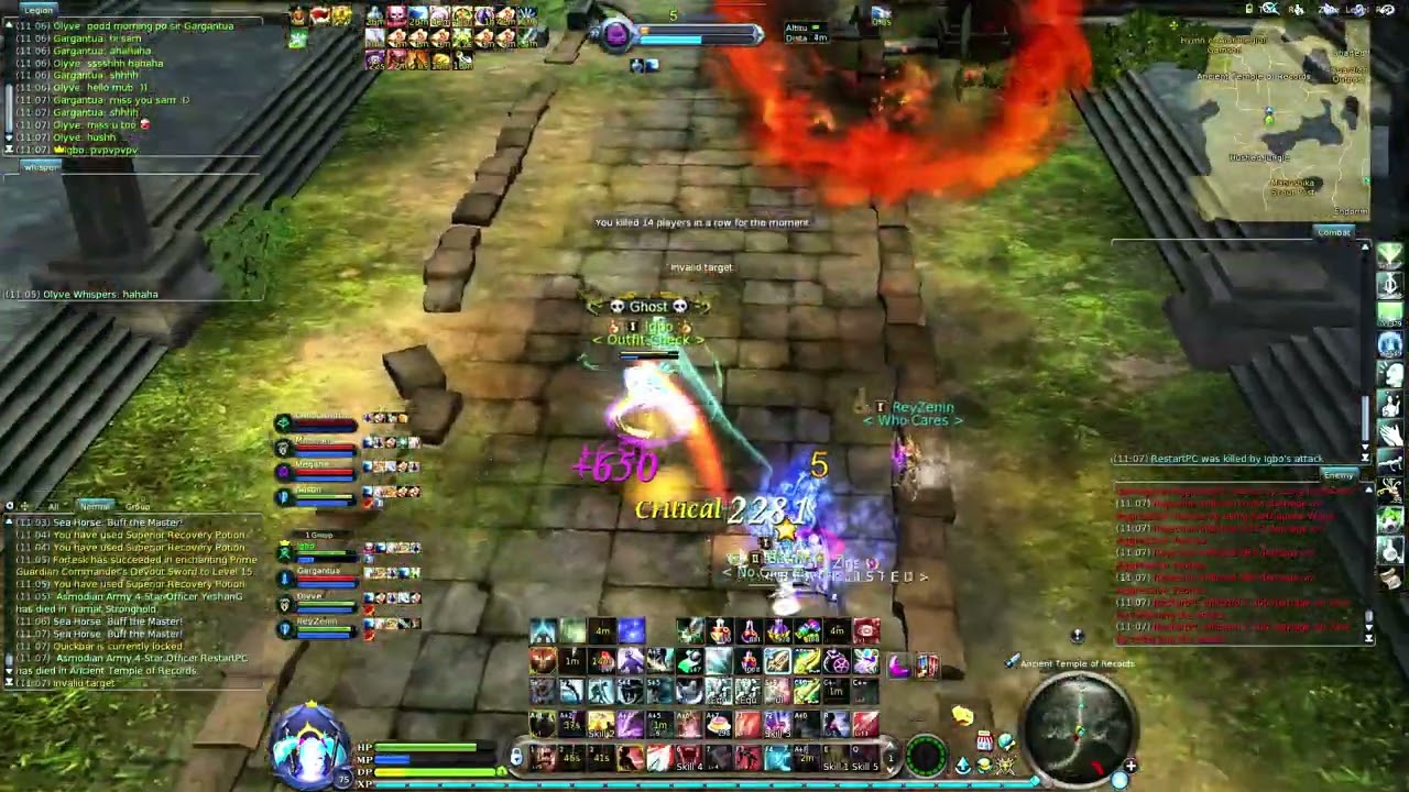 Aion Zone 5.6 Assassin PvP 