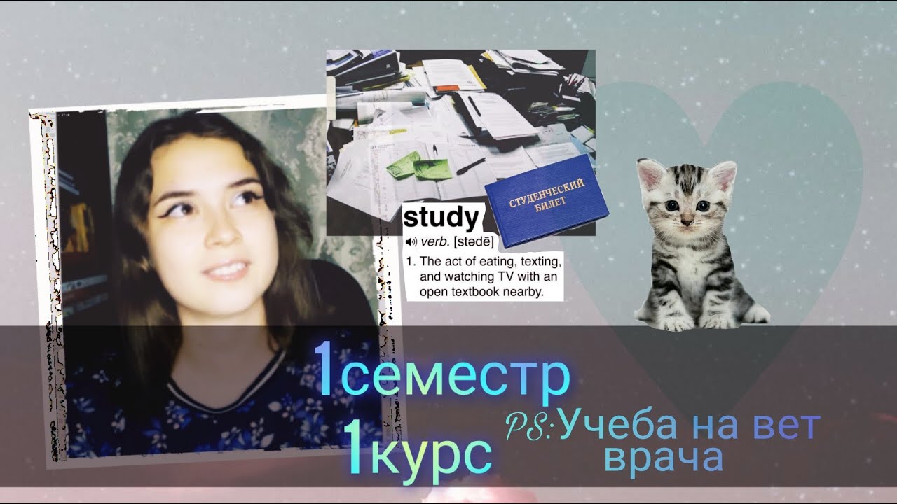 1-й КУРС 1-й  СЕМЕСТР (предметы/экзамены/немного историй) Подвожу итоги/Моя учеба на вет.врача!)