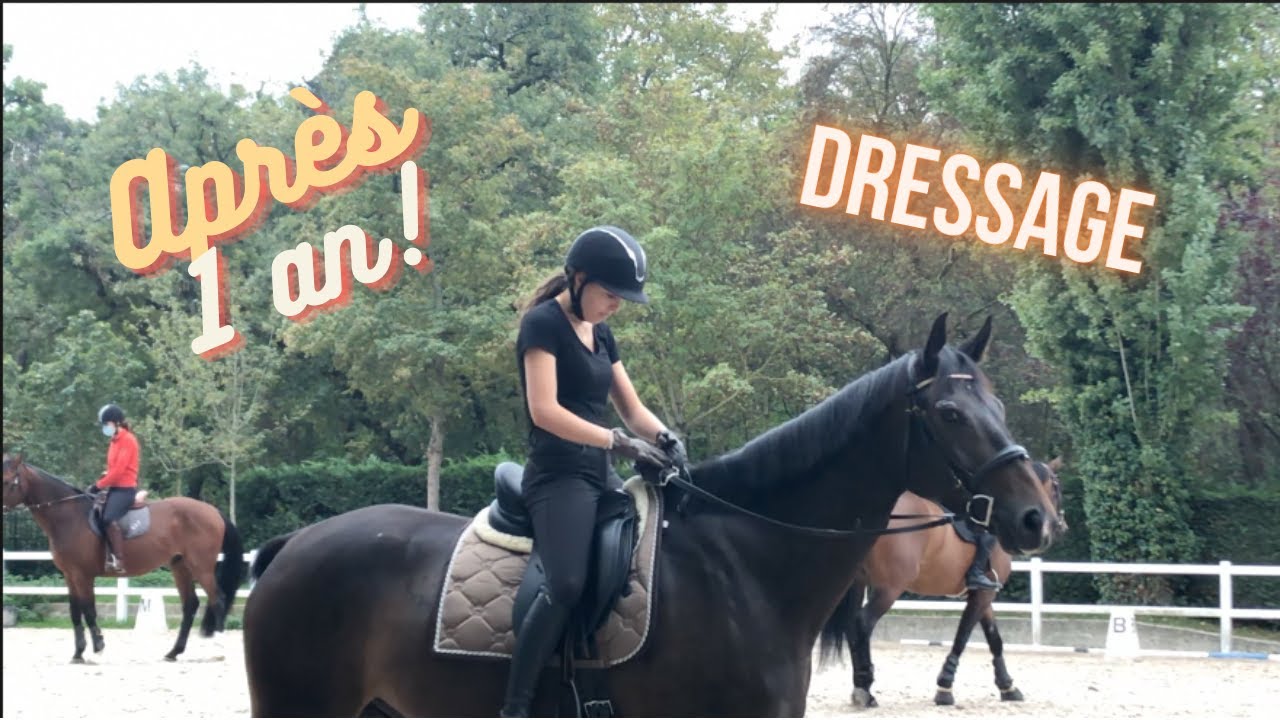 Séance de Dressage ! (1 an plus tard 😅)