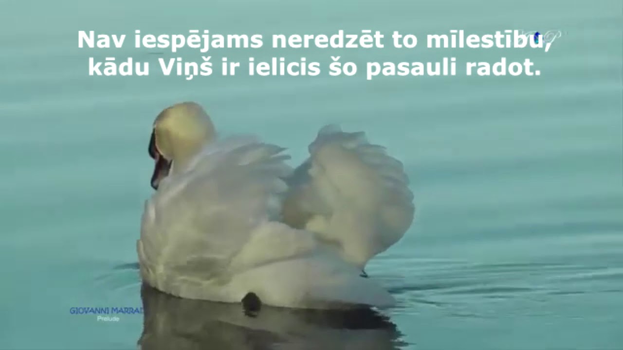 Dieva Mīlestība...