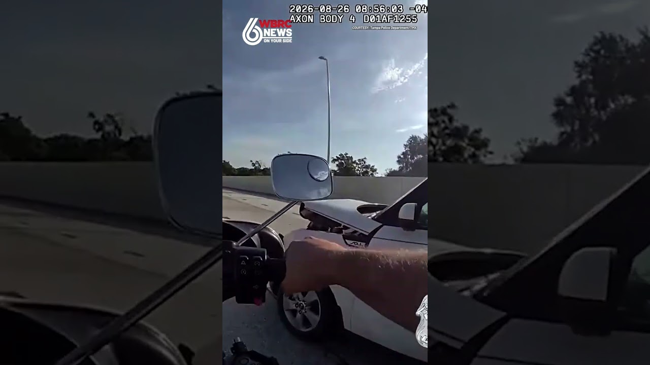 Driver chased before arrest