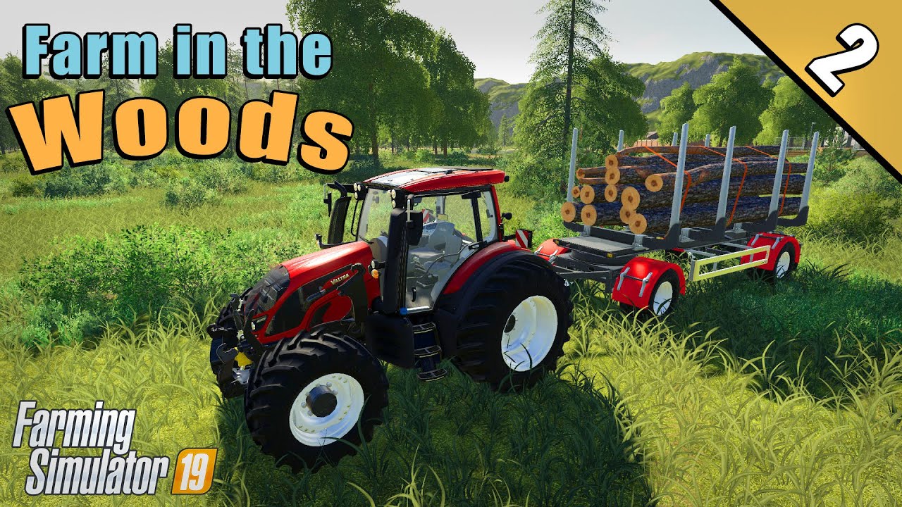 Making first field | Farming Simulator 2019 Timelapse | Farm in the Woods #2