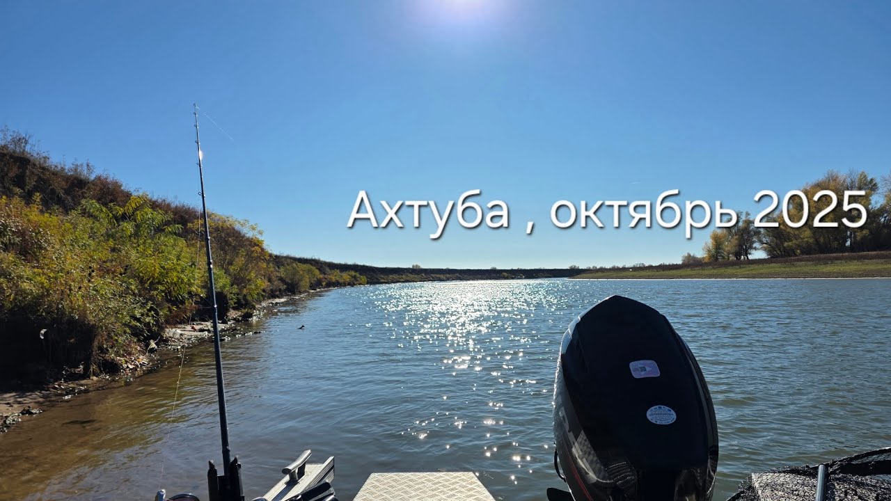 Ахтуба , Селитренное , октябрь 2025 . 
