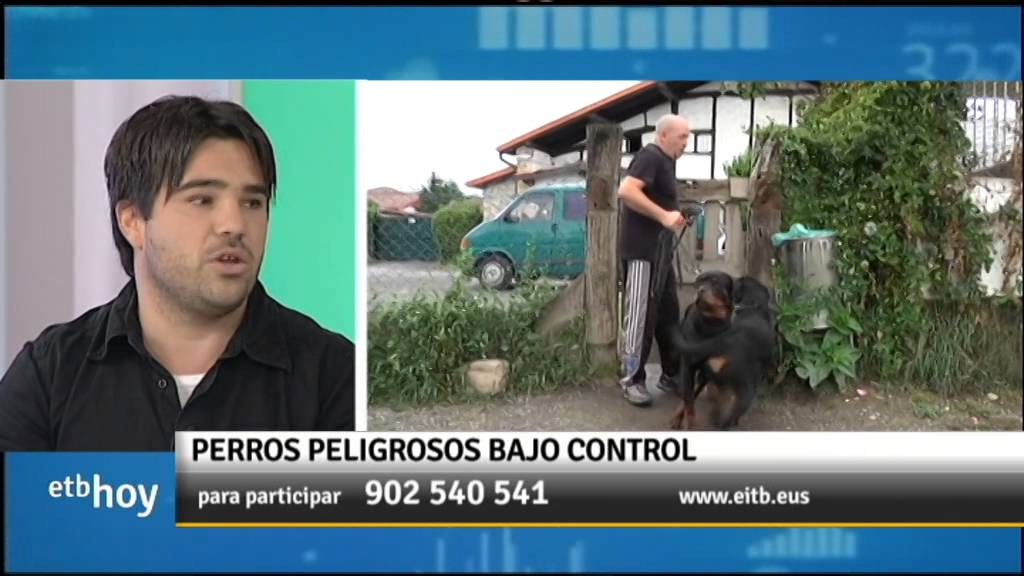 ¿Cuáles son los perros potencialmente peligrosos?¿Cómo controlarlos?