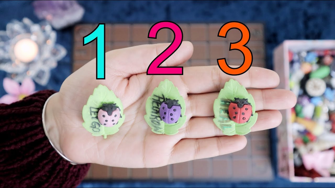 ◦•●◉✿Messages From LADYBUG SPIRIT (GOOD LUCK, INNOCENCE, TRUE LOVE)✿◉●•◦ Pick a Card☯